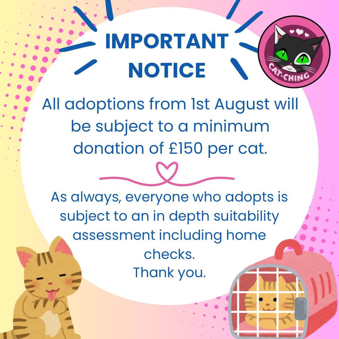 All adoptions from 1st August 2024 will be subject to a minimum donation of £150 per cat