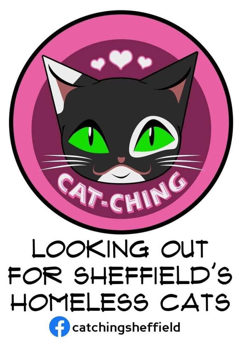 Cat-CHING's logo and the text: Looking out for Sheffield's homeless cats